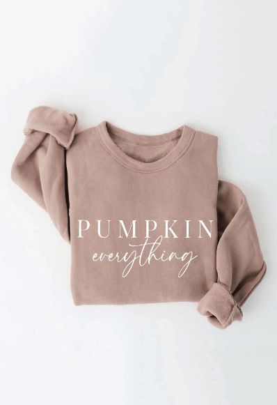 Pumpkin Everything Favorite Supersoft Sweatshirt - abcthreads